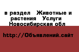  в раздел : Животные и растения » Услуги . Новосибирская обл.